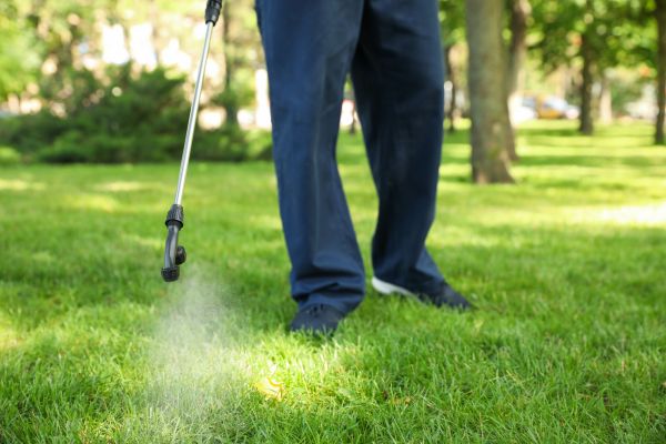 Fort Wayne Lawn Treatment